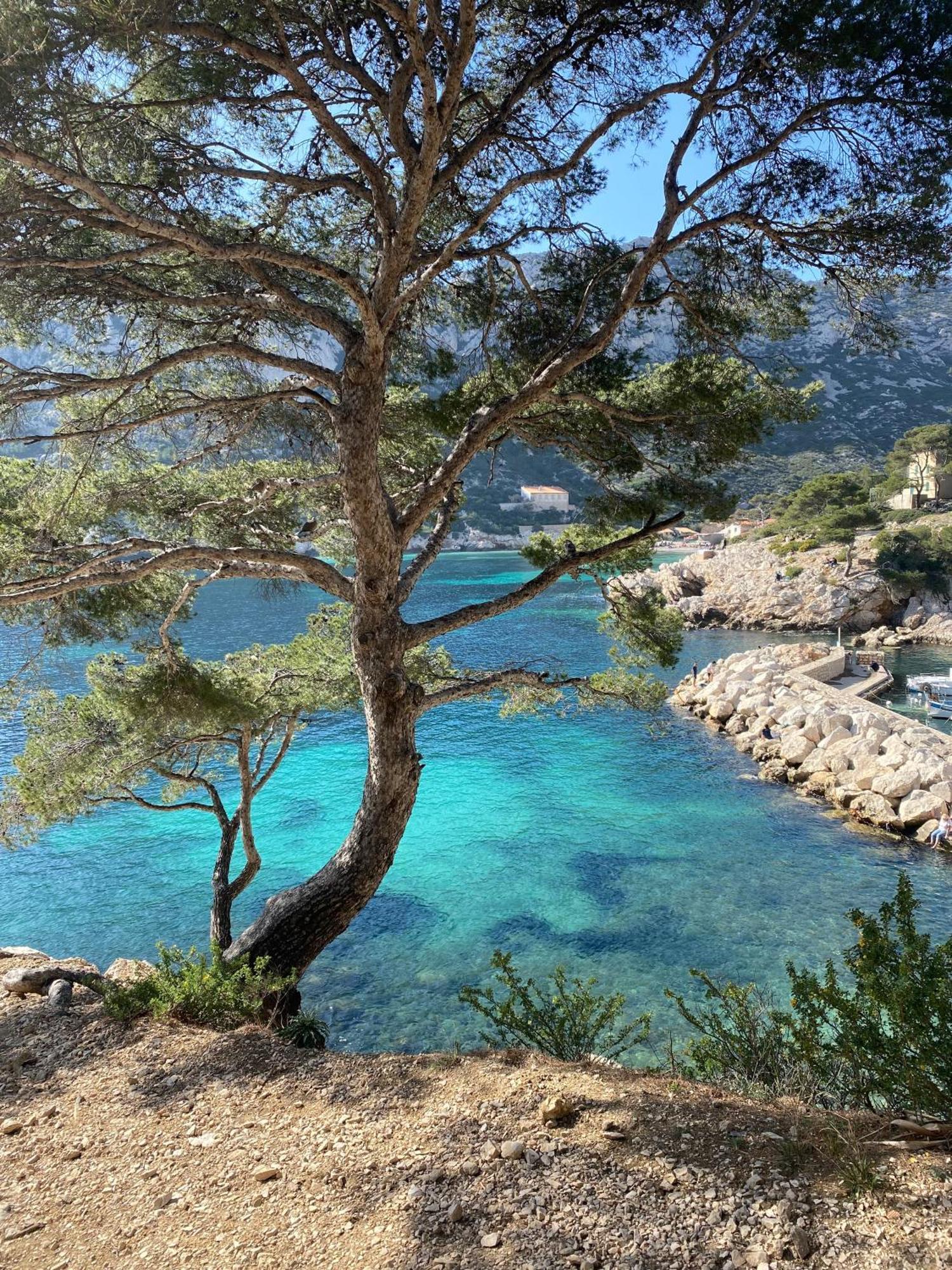 Appartement Lumineux Proche Calanques マルセイユ エクステリア 写真